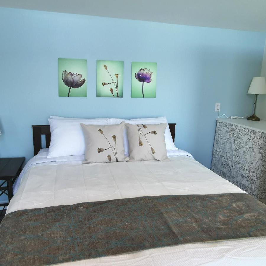 Knotty Pine Ocean Front Suite - Adults Only Ingonish Luaran gambar